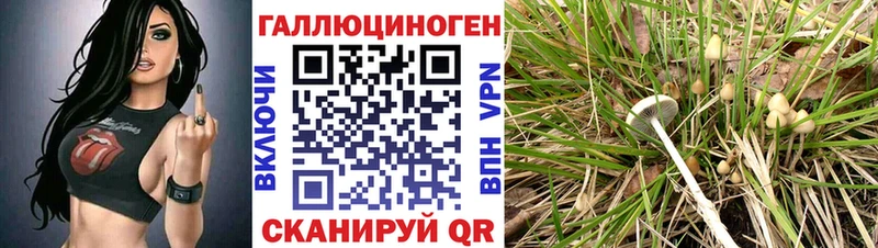 Псилоцибиновые грибы ЛСД  Купить где  Лесосибирск 